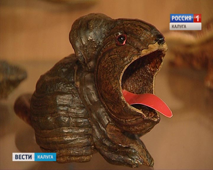 Корнепластика-1-1113.jpg