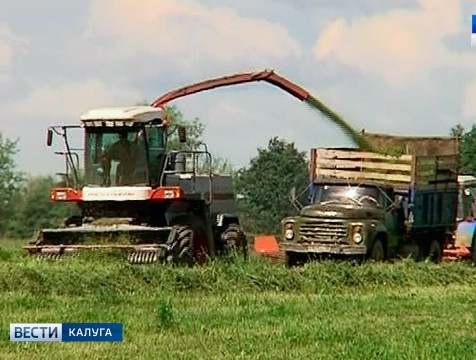 Урожай кормовых единиц в регионе может превысить прошлогодние показатели