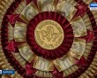 конный-спорт2-0830.jpg