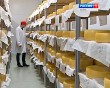 Сыры-0906.jpg