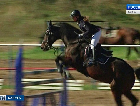 Кубок губернатора по конному спорту остался у калужан