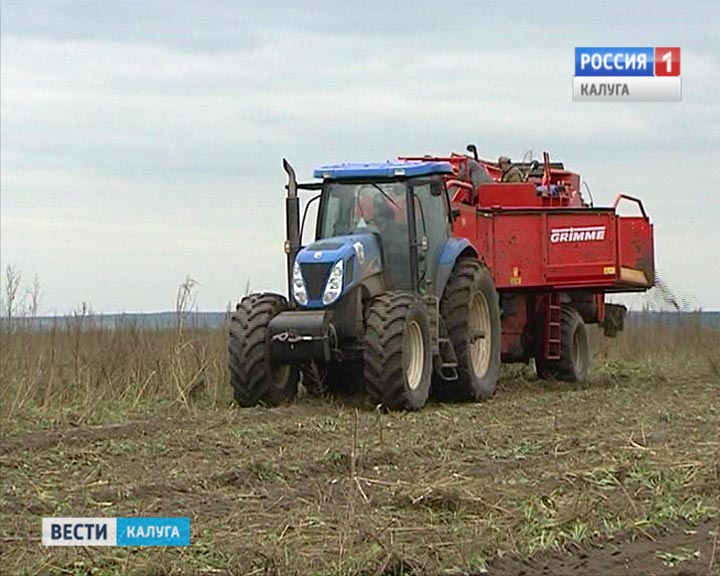Уборка-картофеля1014.jpg
