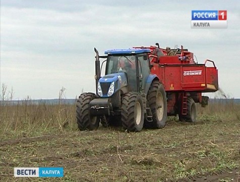 На поддержку сельхозпроизводителей Калуги дополнительно выделят почти 6 миллионов рублей