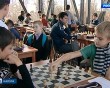 Шахматы2-1020.jpg