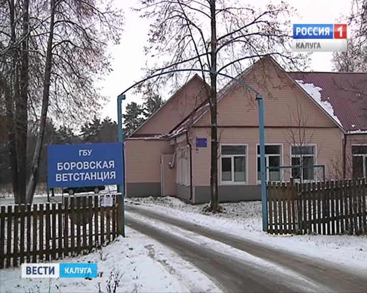 Боровская-ветстанция1125.jpg
