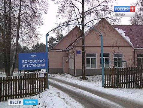 В Боровском и Малоярославецком районах сложилась напряжённая ситуация по бешенству