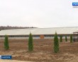 Ферма-Ткачёв1-1107.jpg