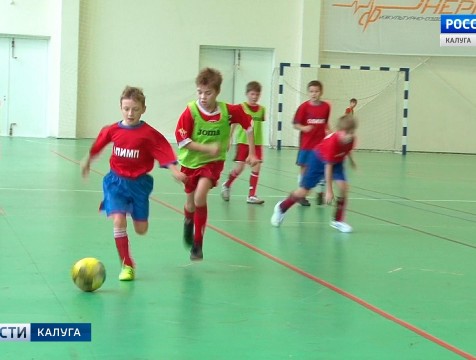 Открытый турнир по мини-футболу среди юношей прошёл в Медыни