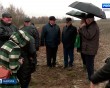 Яблоневый-сад1-1115.jpg