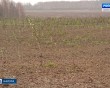 Яблоневый-сад3-1115.jpg
