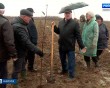 Яблоневый-сад4-1115.jpg