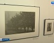 пикториальная-фотография3-1116.jpg