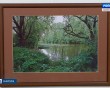 Выставка-Чиркова6-1117.jpg