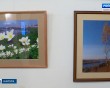 Выставка-Чиркова7-1117.jpg