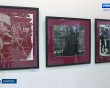 Выставка-Ёлгина5-1124.jpg