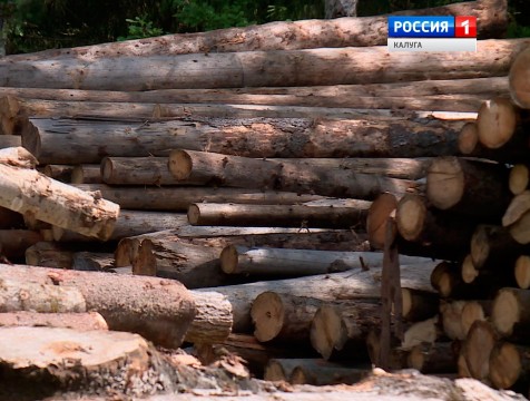 Более 16.5 тысяч кубометров калужской древесины было экспортировано в этом году