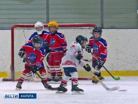Шесть хоккейных команд примут участие в групповом этапе соревнований