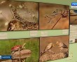 первозданная-Россия3-1206.jpg