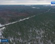 Леса-зима1211.jpg