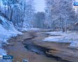 Выставка-Котик1-1215.jpg