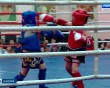 Тайский-бокс2-1218.jpg