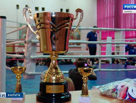 Открытый чемпионат по Тайскому боксу прошёл в Калуге