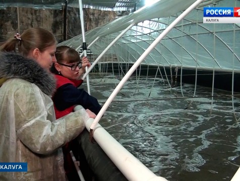 Крупнейшую в России ферму по выращиванию креветок открыли в Калужской области