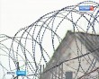 колония0129.jpg
