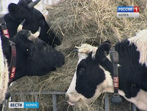 На 7,5% выросли доходы агропромышленного комплекса региона
