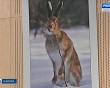 Две-выставки2-0104.jpg