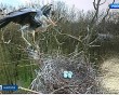 Две-выставки4-0104.jpg