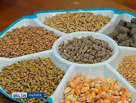 Сухиничский район вышел на первое место в области по уборке зерна