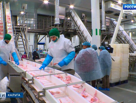 Модернизацию производства завершила птицефабрика Калужской области