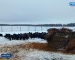 Агротуризм-Мещовск2-0130.jpg