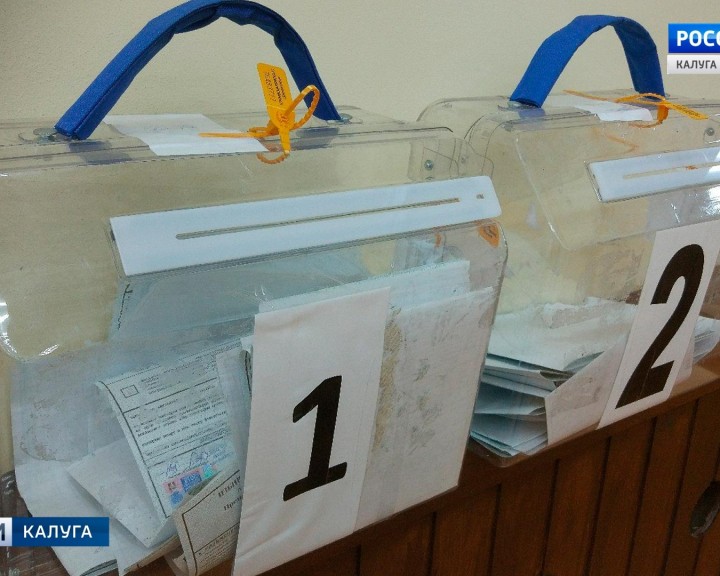 Выборы-Полотняный2-0318.jpg