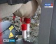 Робот Ферма0204.jpg