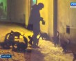Выставка-Тарасова4-0411.jpg