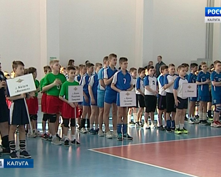 Волейбол-юноши2-0413.jpg