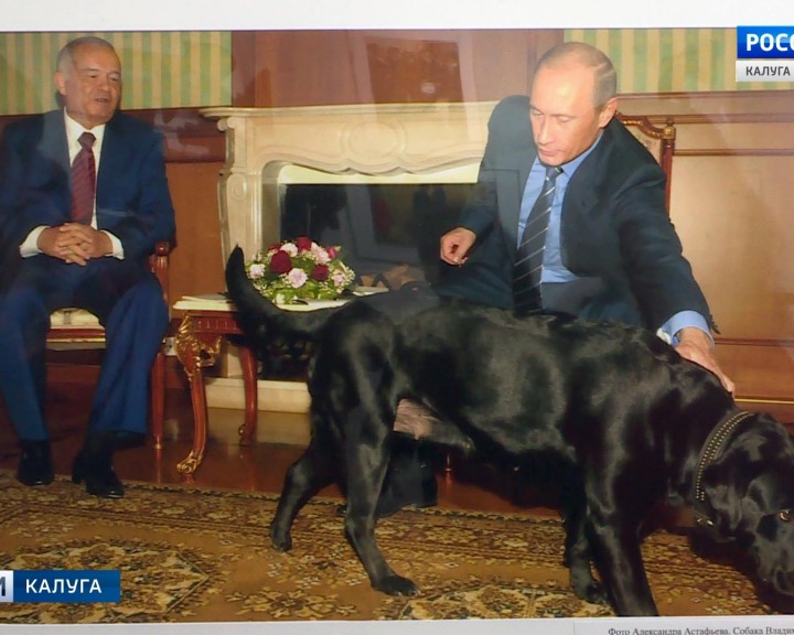 Неформальный-Путин5-0413.jpg