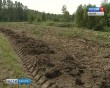 Земля-заброшенная0206.jpg