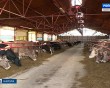 роботоферма-Зудна1-0427.jpg