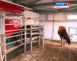 роботоферма-Зудна2-0427.jpg