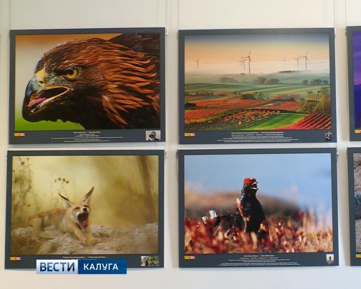 Выставка-100-чудес1-0510.jpg