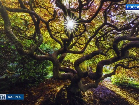 Сто фотографий чудес света представили в Калуге