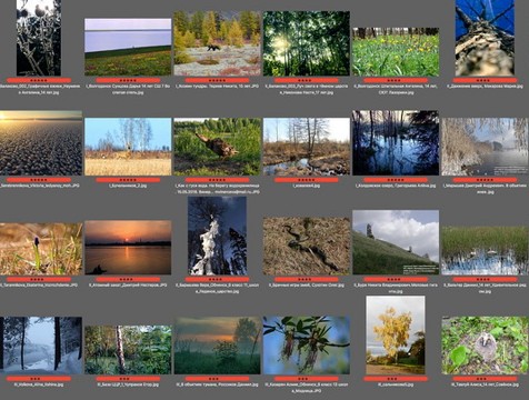 Обнинские школьницы стали лауреатами конкурса фотографий 