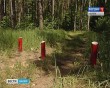 Лес0512.jpg