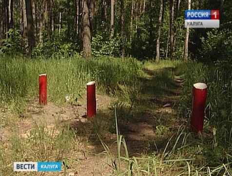 28 добровольных лесных инспекторов будут охранять калужские леса