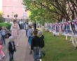 газон-пати2-0615.jpg