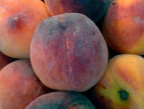 Турецкие персики вернули на родину из-за плодовых мух
