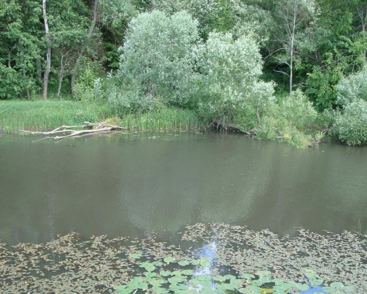 Суходрев0621.jpg